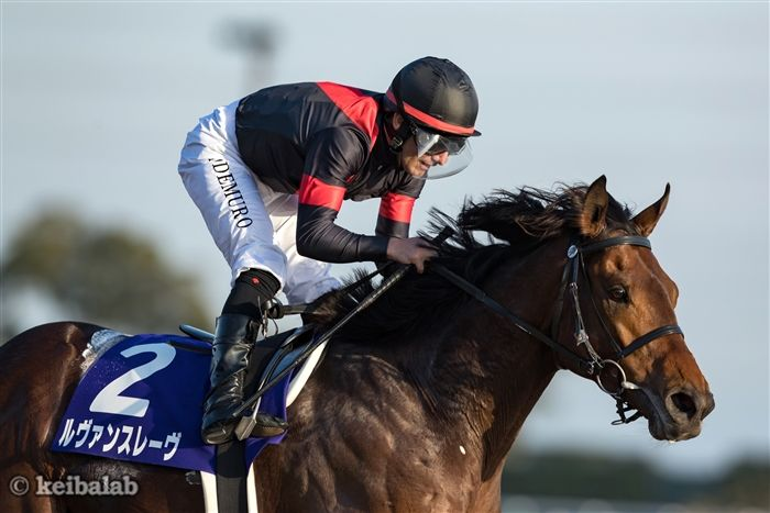 競馬ラボ tweet media