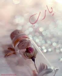 الفراشة tweet media