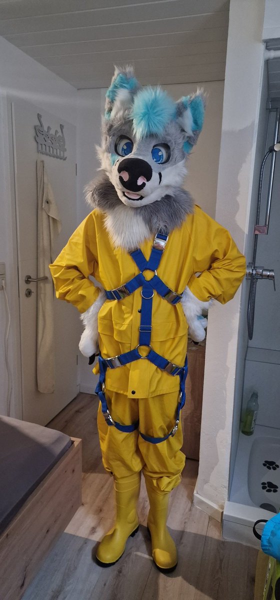 🐾KjisuTheFox🦊 tweet media