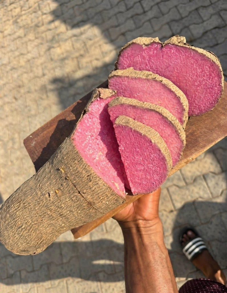 leodey4uu's tweet photo. Dj Cuppy don start yam business 😂 https://t.co/HunvNvnKdd