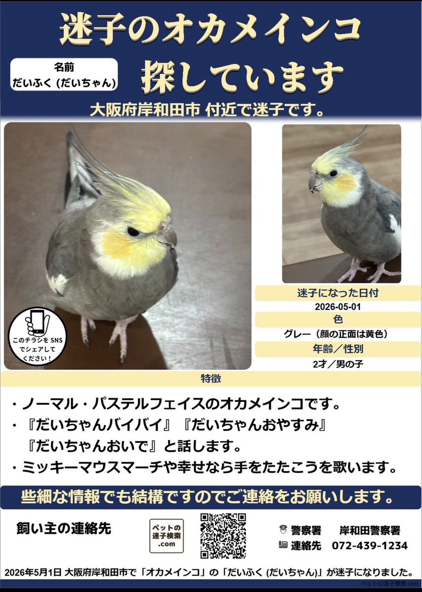 迷子インコ #迷子鳥 ＃保護情報 ＃御家族様に繋がります様に