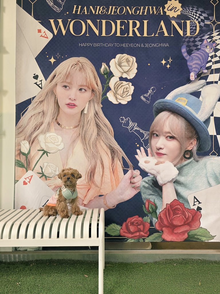 카페_시아_아틀리에 tweet media