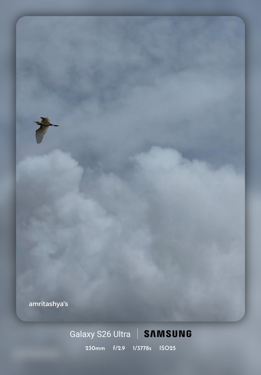 amritashya's tweet image. A few random clicks at various zoom levels. Hope you like these, friends. 📸😊 #clicks #friends #S26ultra