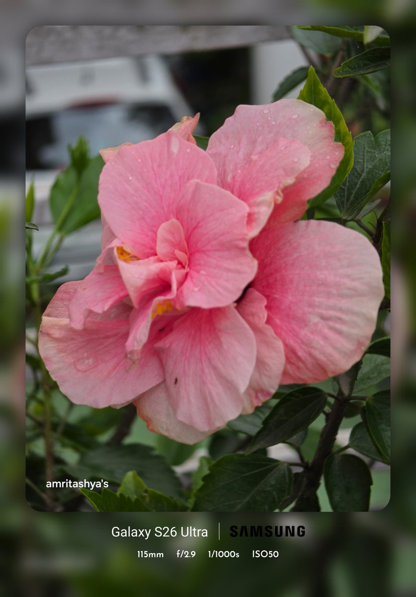 amritashya's tweet image. A few random clicks at various zoom levels. Hope you like these, friends. 📸😊 #clicks #friends #S26ultra