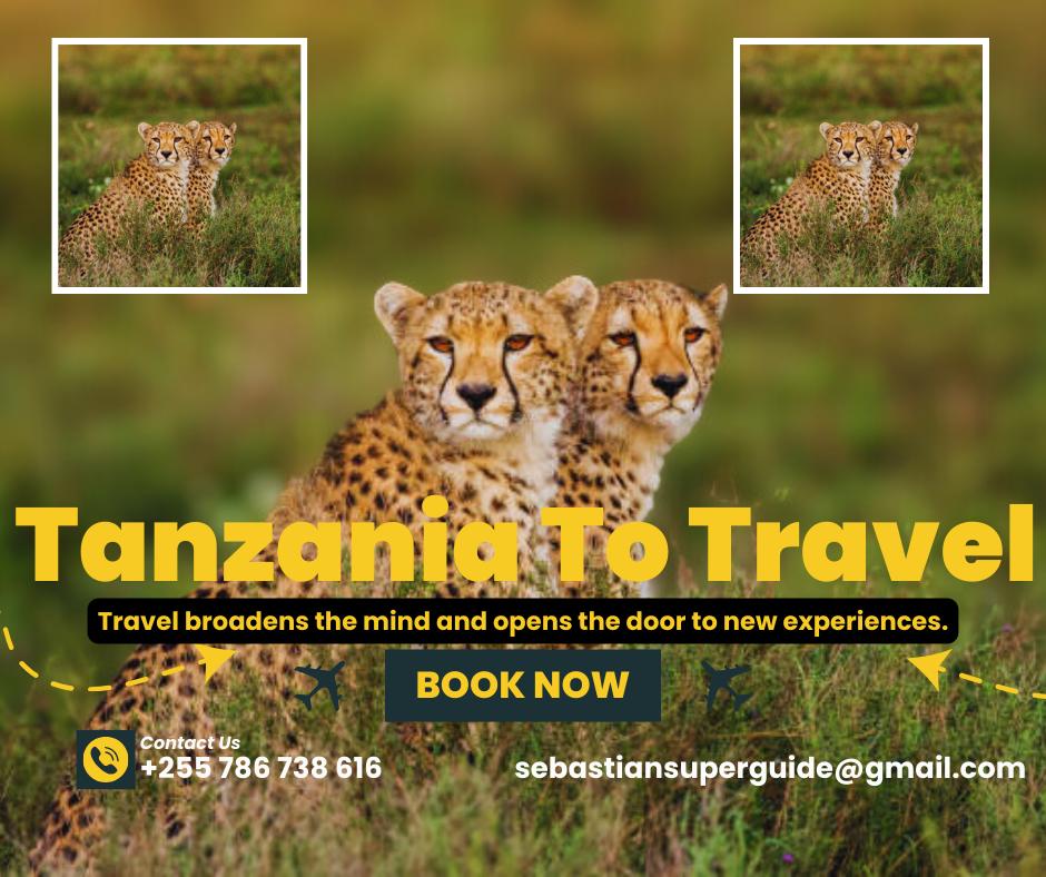 SuperbGuide's tweet photo. A reminder to you to soothe the soul and heart! Really we calm and comfort on your safari.
We are all on this wild journey together as one.
Cheap yes
Cheat no 
Check reality 
Cheek kisses 
Cheers together 
Cheetah you see in a single morning, afternoon, evening and unlimited https://t.co/Qioi6pO3E2