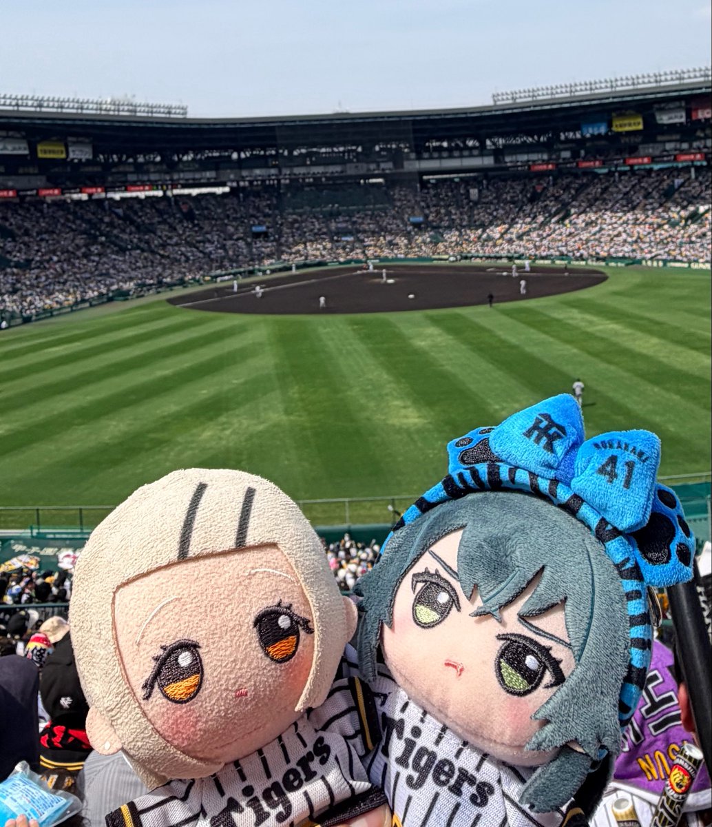 もP tweet media