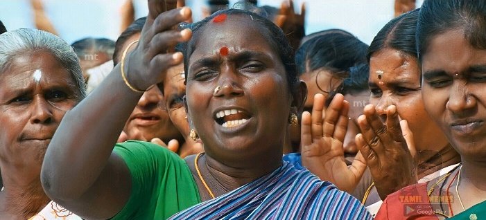 காக்கா tweet media