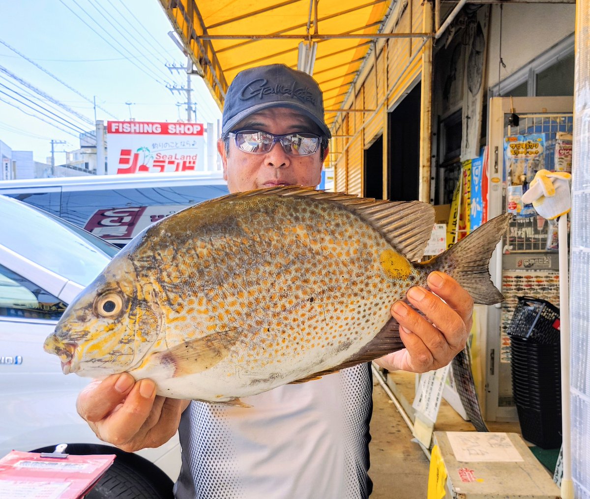 強烈な引きに竿は余裕でしたが釣り手が非力でのされそうでした😅
フルロックで1㍉も糸出さない仕様で竿をのされたら意味ないよね(^^ゞ
ジムでパワーアップしようかな💪⭕(￣∇￣)
46.5㌢　1.88㌔
#ニューカーエーロッドプロトタイプ
#カーエースペシャルアルティメイト
#ナイトカーエー
#デイカーエー