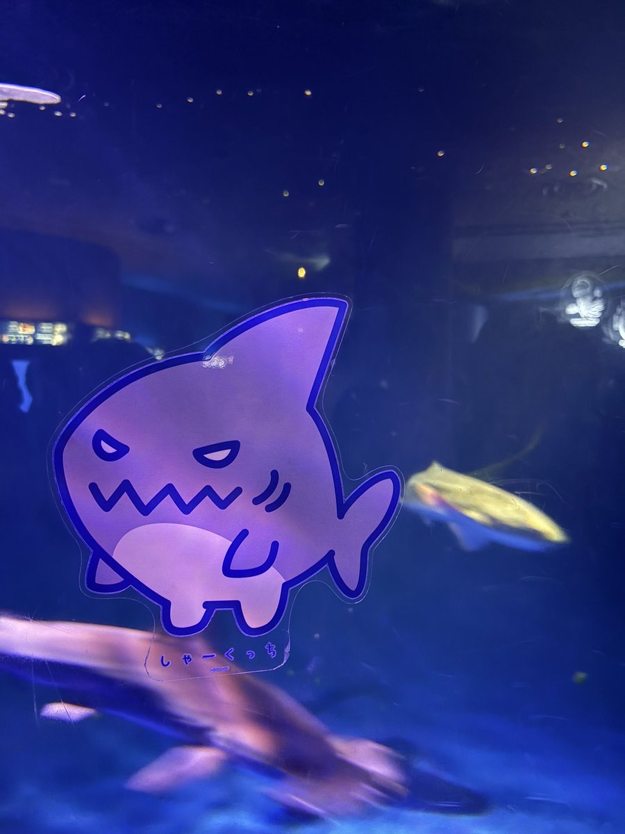 noe_501's tweet photo. 江ノ島水族館
えのすいで発見！！
#えのたま https://t.co/ya2AoXhYcL