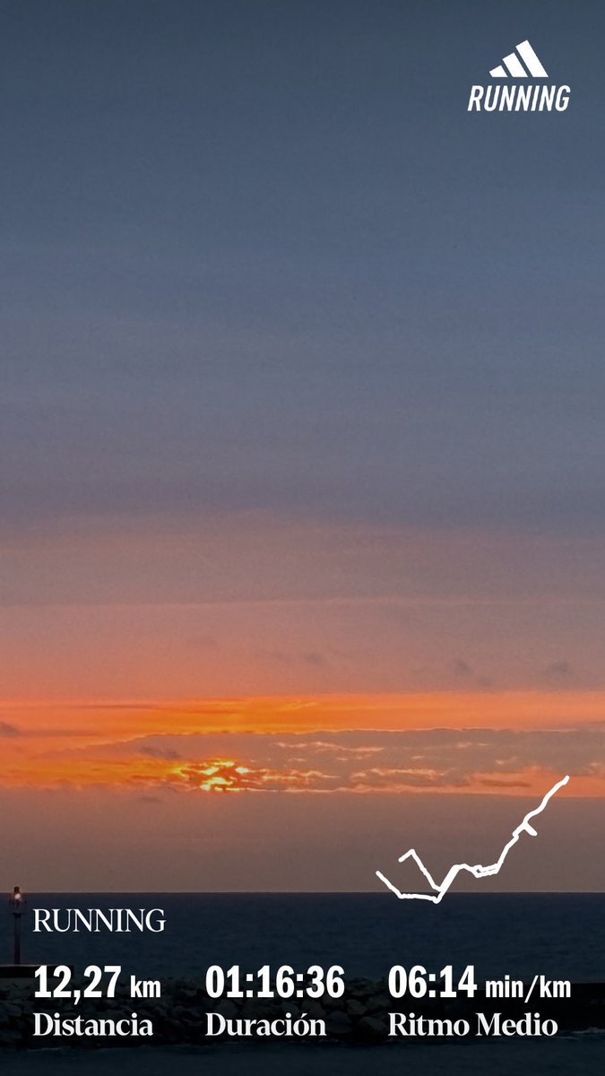 🌅