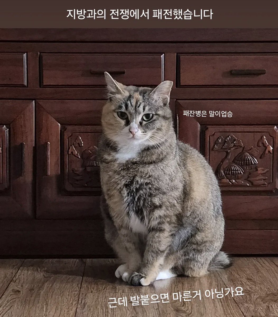 째앙금 tweet media