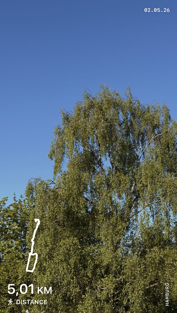 heldenchaos's tweet image. 39 Wochen, 5 Läufe/Woche, je 5+ KM-Lauf 🏃‍♂️ 

#sport #run #lauf