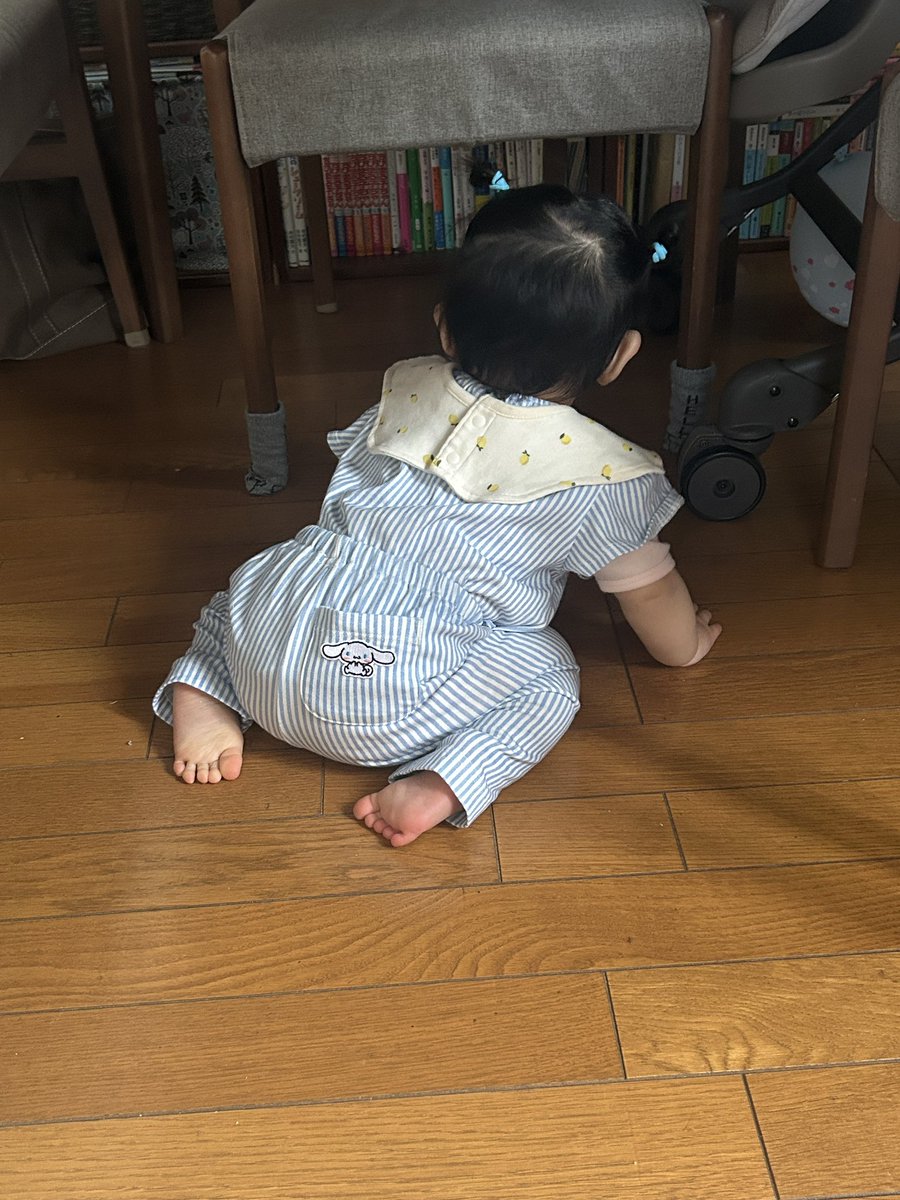 snowmagic00's tweet photo. 久しぶりに
ライブへいくつも。だったのに！
お昼寝してて
今起きた
間に合わん、、

テーブルの下に隠れてた https://t.co/AQJSWVUGng