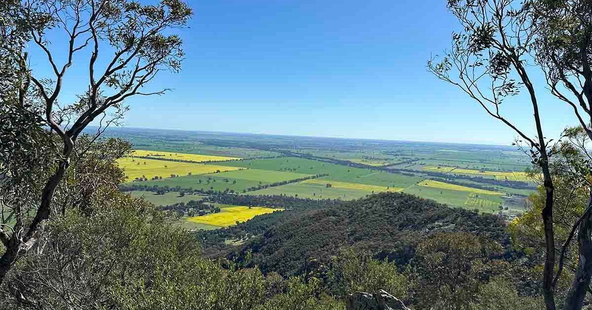 Australian Hiker tweet media