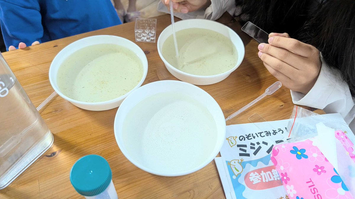 みじんこ〜 tweet media