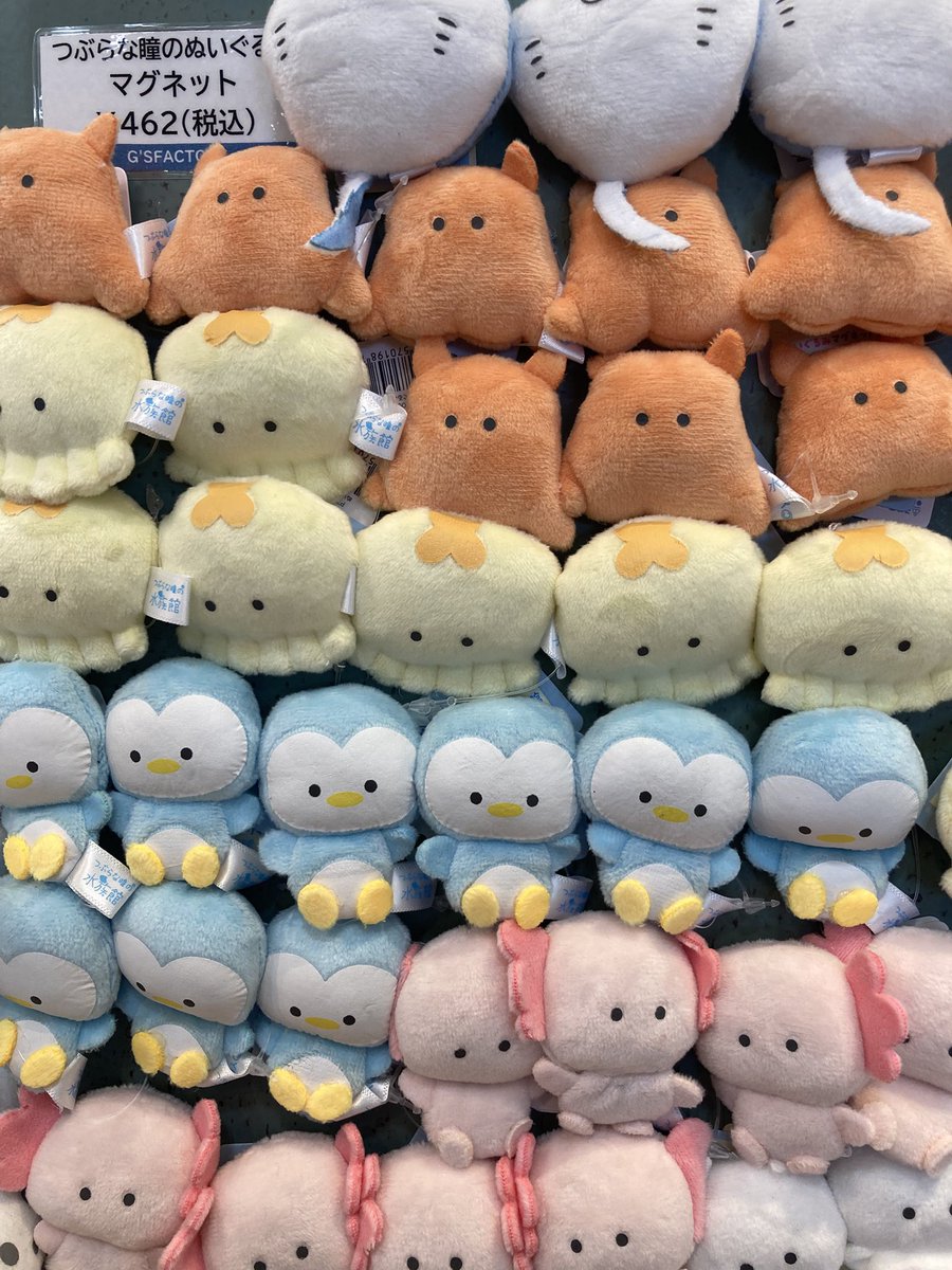 つぶらな瞳のなまがき ぬいぐるみ まとめ つぶらな瞳の仲間達【公式】 (@tsuburanahitomino) • Instagram photos