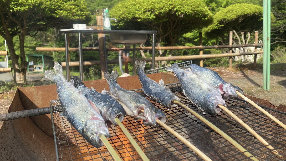 きゃんぷぅ〜🏕️