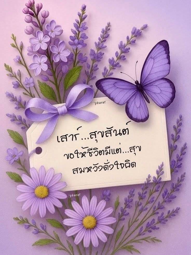 vid k.ang🇹🇭 tweet media