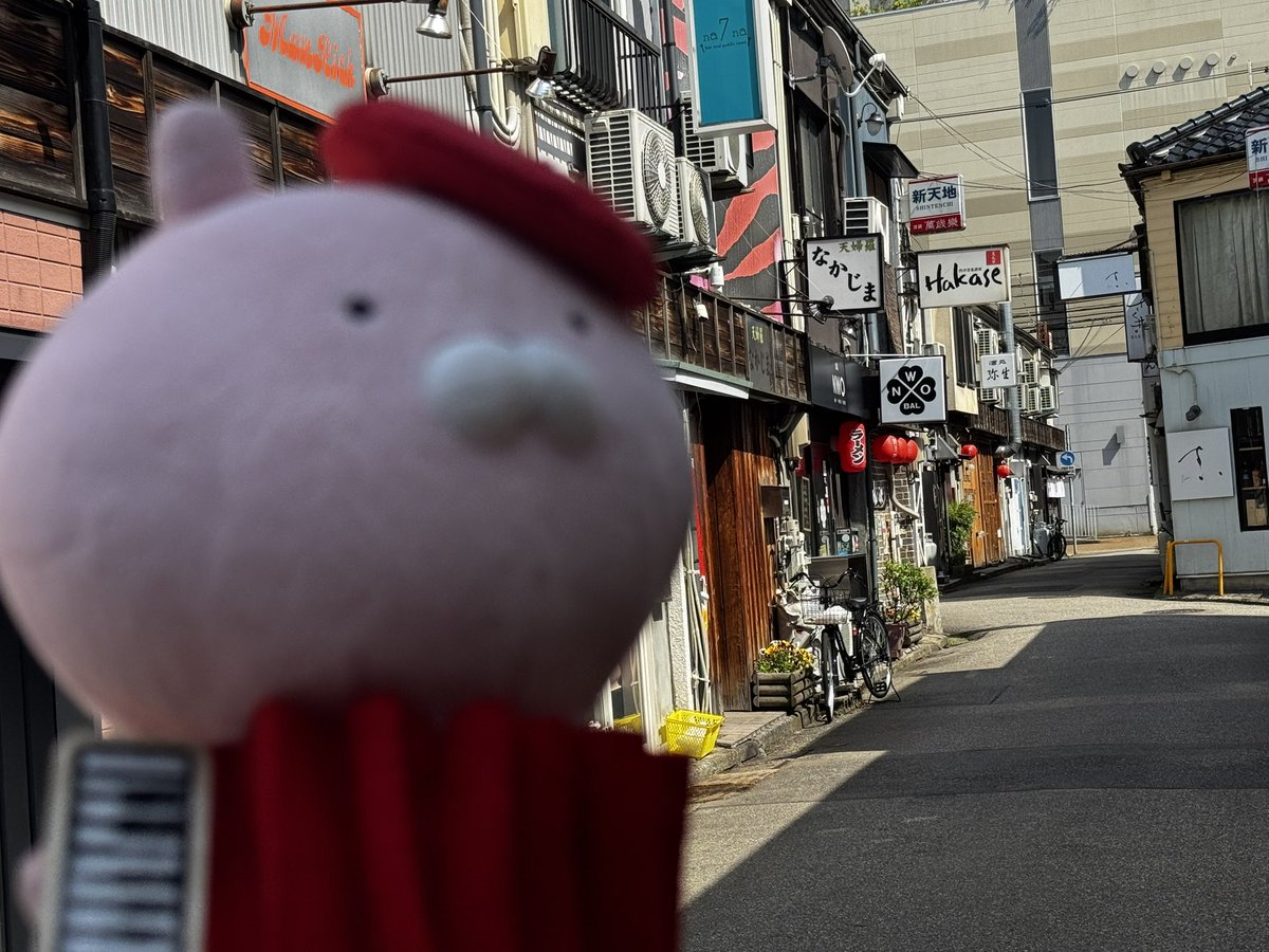 あこふー tweet media