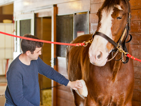 eVisitorGuide's tweet image. .@GrantsFarm in St. Louis is home to hundreds of exotic animals, Clydesdale horses, educational shows &amp;amp; President Grant's log cabin! Incredible #FREE, #familyfriendly place. evisitorguide.com/stlouis/brochu…

#StLouis #STL #travel #budgettravel #sightseeing #attractions