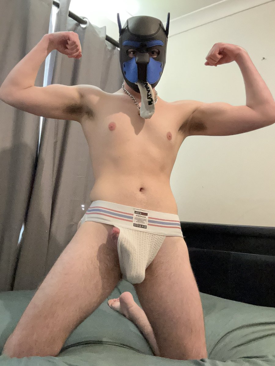 GoodBoyHazz's tweet photo. The white socks taste the best !!!
🐶🦴🧦

#gay #pup #aussie #flex https://t.co/xI0YFHJM19