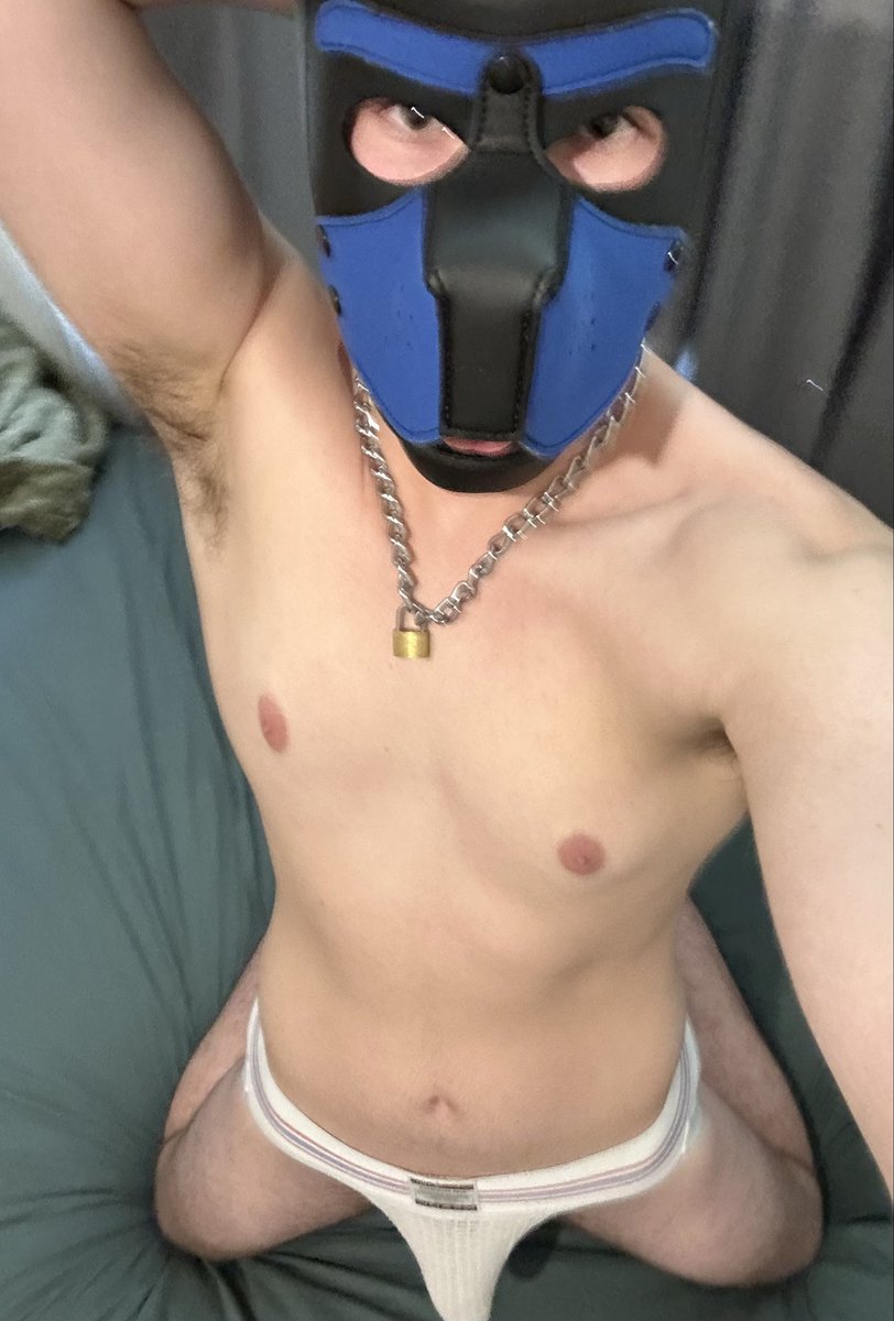 GoodBoyHazz's tweet photo. The white socks taste the best !!!
🐶🦴🧦

#gay #pup #aussie #flex https://t.co/xI0YFHJM19