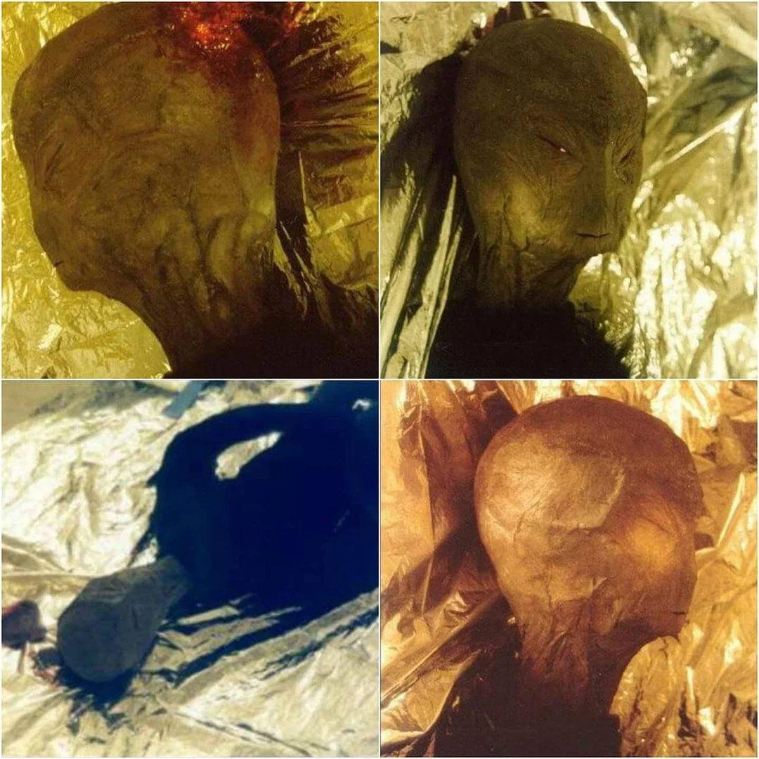 TurboBMR - Project Love tweet media