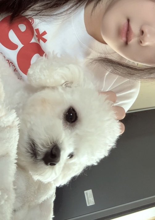 용용 tweet media