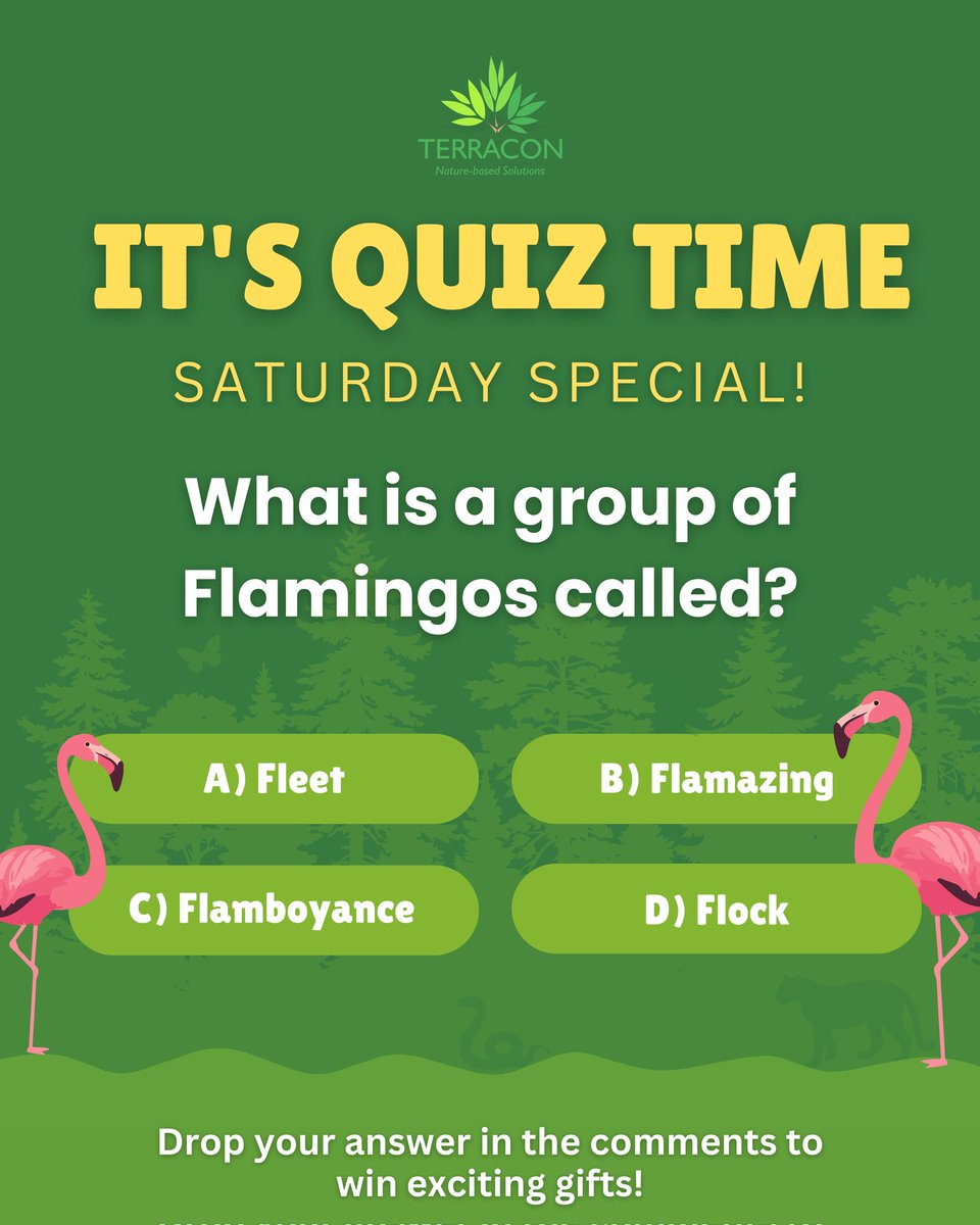 terracon_india's tweet image. QUIZ TIME | SATURDAY SPECIAL 🦩

Flamingos aren’t just pretty pink birds, they’re indicators of wetland health.

Think you know it? Comment your answer👇

#quiz #wetlands #terraconecotech #ConservationAction #flamingo