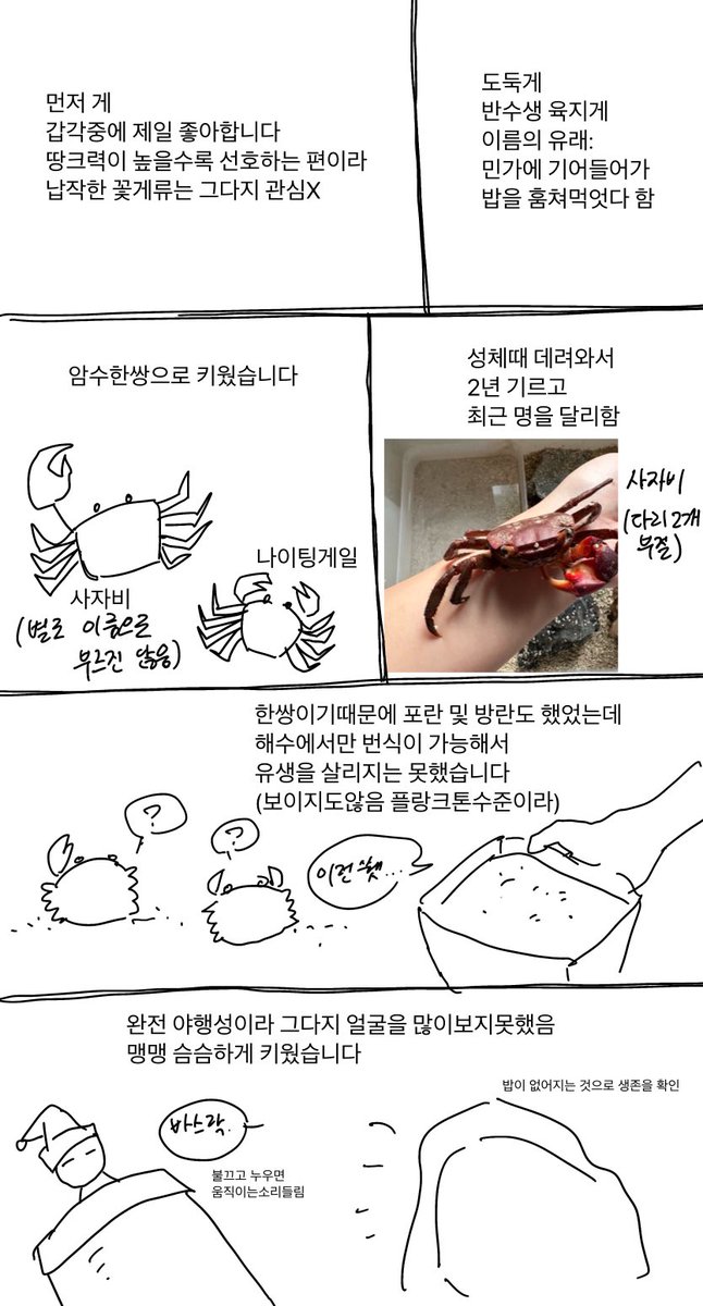 ์์ฝค์งฑ tweet media