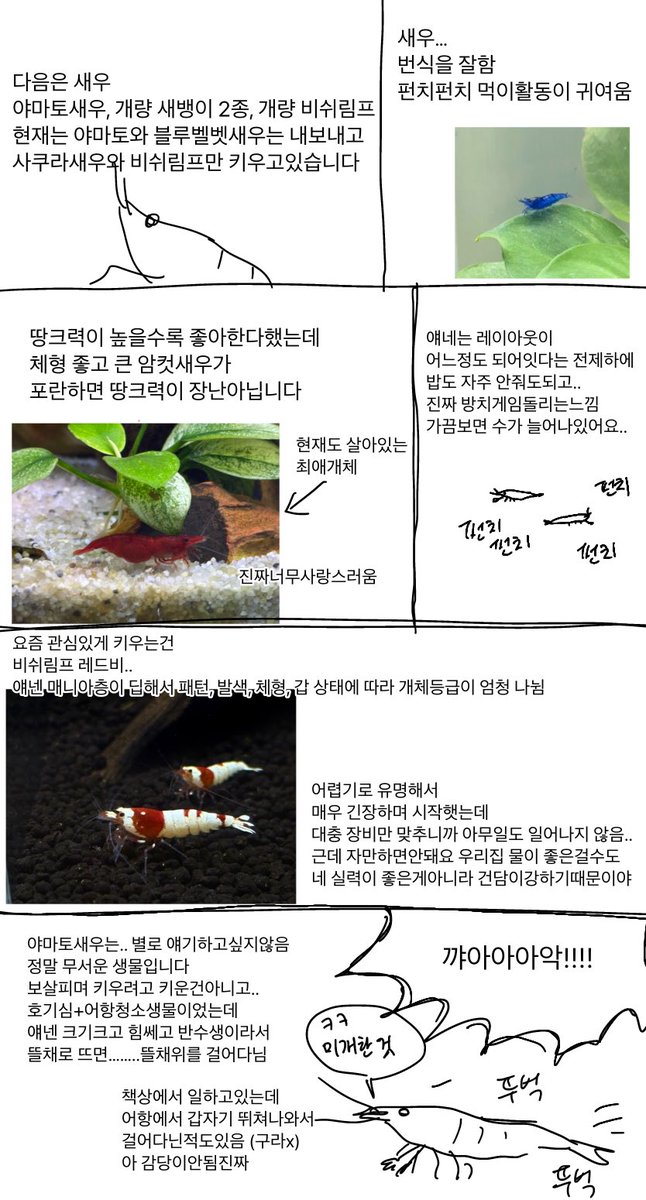 ์์ฝค์งฑ tweet media