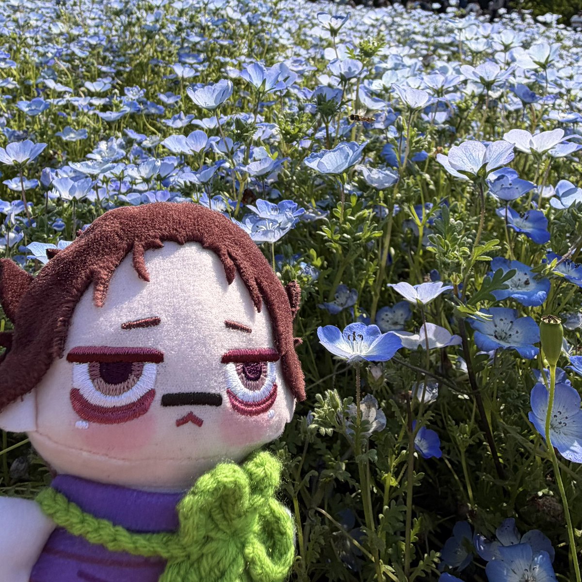 しゅん tweet media