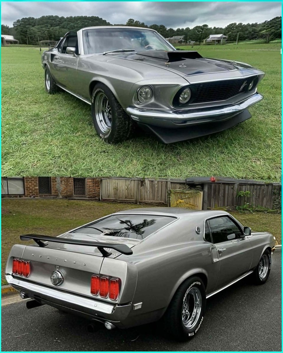 MustangRTeam's tweet image. #Mustang