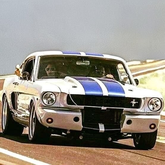MustangRTeam's tweet image. #Mustang