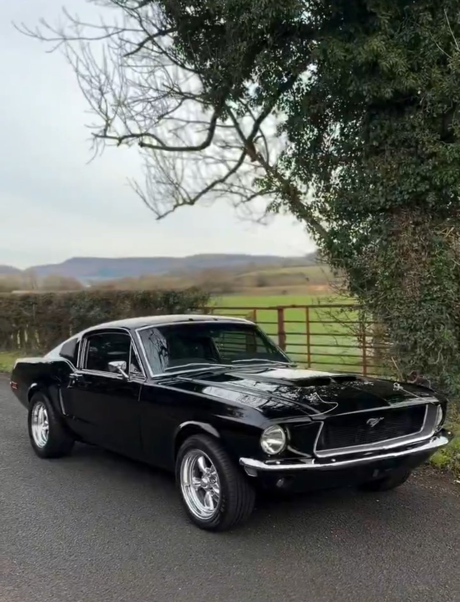 MustangRTeam's tweet image. #Mustang