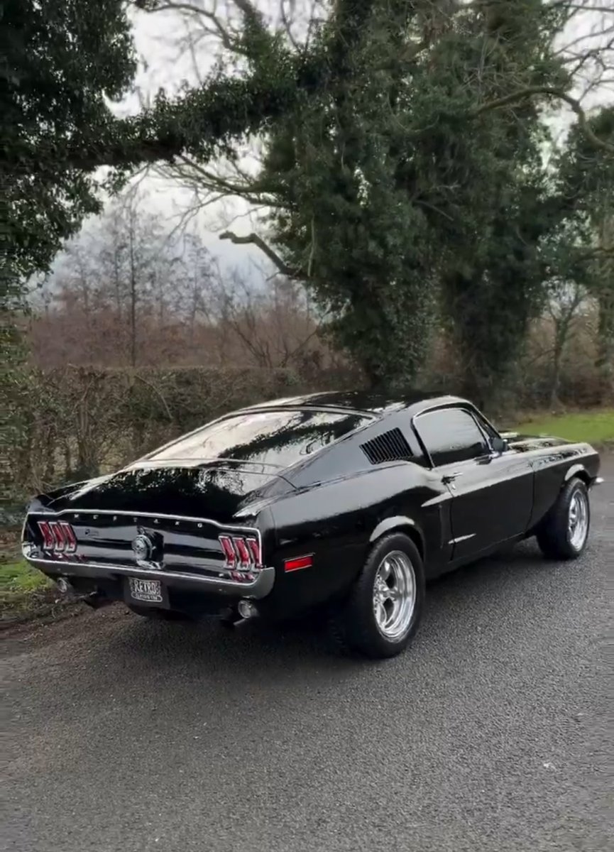 MustangRTeam's tweet image. #Mustang