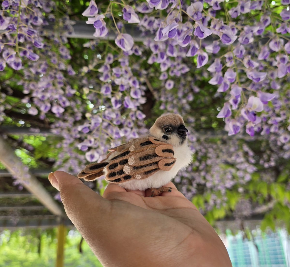 소소한 인형공방💕 tweet media