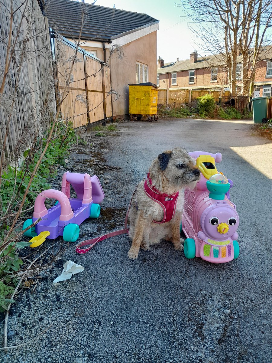 steelygreyste's tweet photo. As its Bank Holiday Heidi is putting on replacement trains to Prestwich. Only one carriage. Choo choo next stop #randomshit . Seriously how cute is this #BTposse https://t.co/AFVZcDx59E