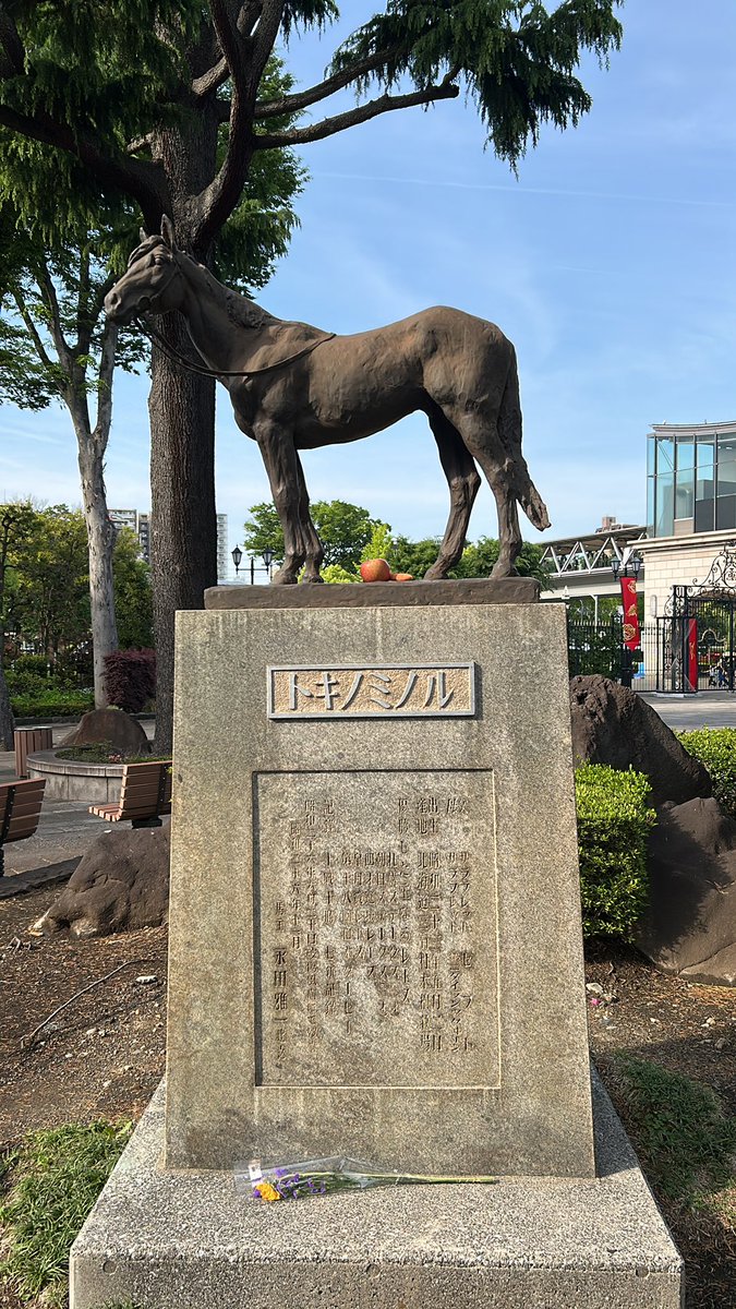 kouha_'s tweet photo. 最近は城か競馬
今日は競馬
#東京競馬場
#トキノミノル https://t.co/lrKDp5tIdD