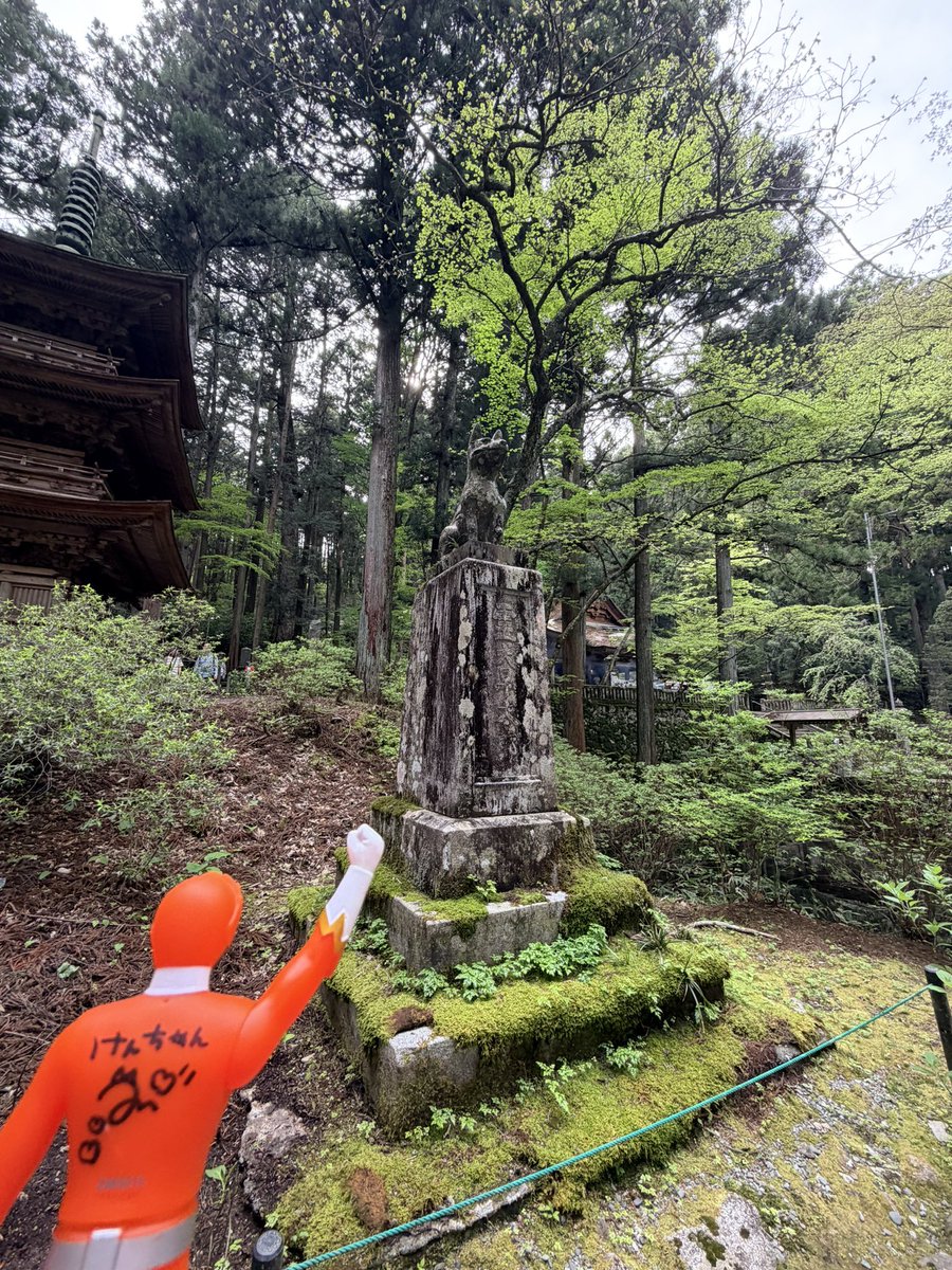 けんちゃん"KEN DEE" tweet media