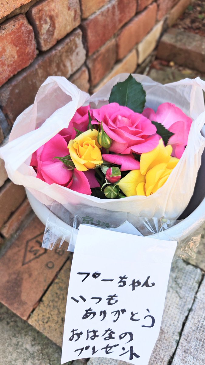 みゆ tweet media