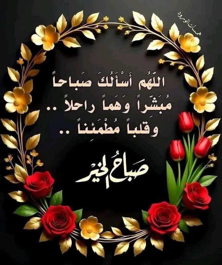 mariamalami tweet media