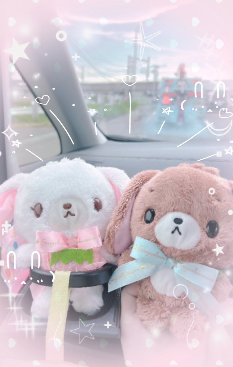 ՞. ̫.՞めるぅ🍼⋆꙳ tweet media