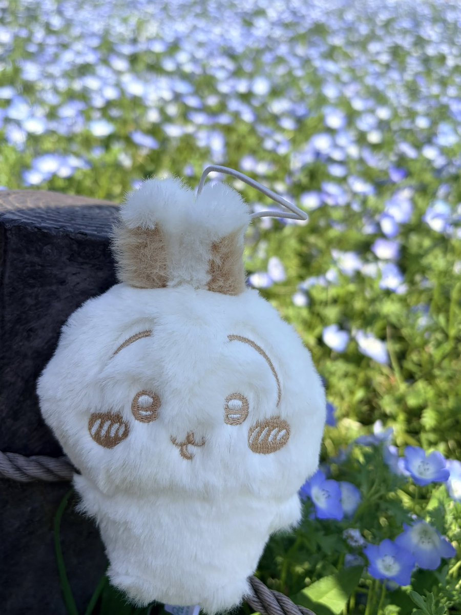 かや🌼*･ tweet media