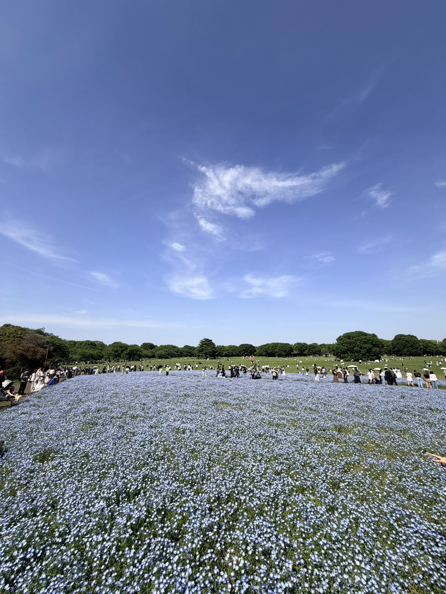 かや🌼*･ tweet media