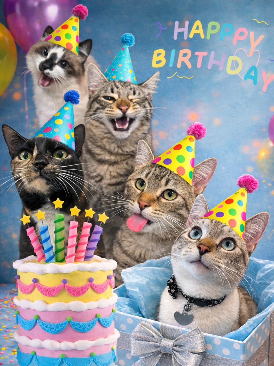 🌸🌈Skippy🐈Kevy🐈Badger🐈Sunny🐈Basil🐈Mikey🌸 tweet media