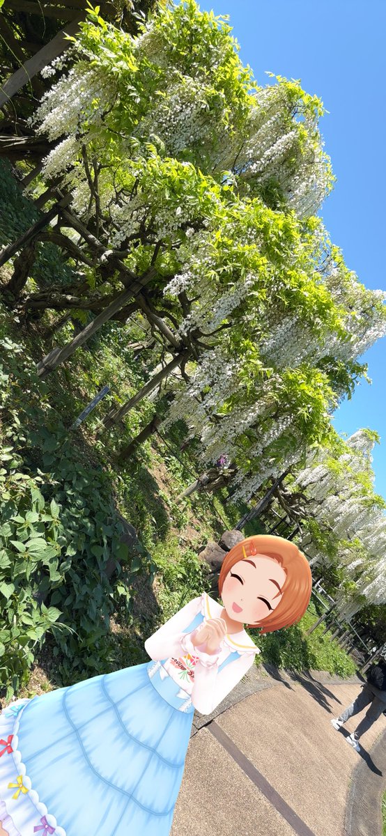 ゆうちゃせんせぇ tweet media