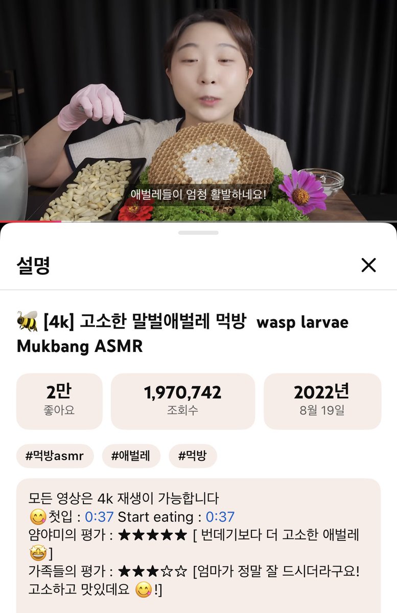 그래서 난 얌야미 먹방 봄 지금은 구독자 많아져서 정상적인거 먹는데 옛날엔 ㄹㅇ 베어그릴스마냥 애벌레먹고 개구리먹고 무슨 젖소 ...