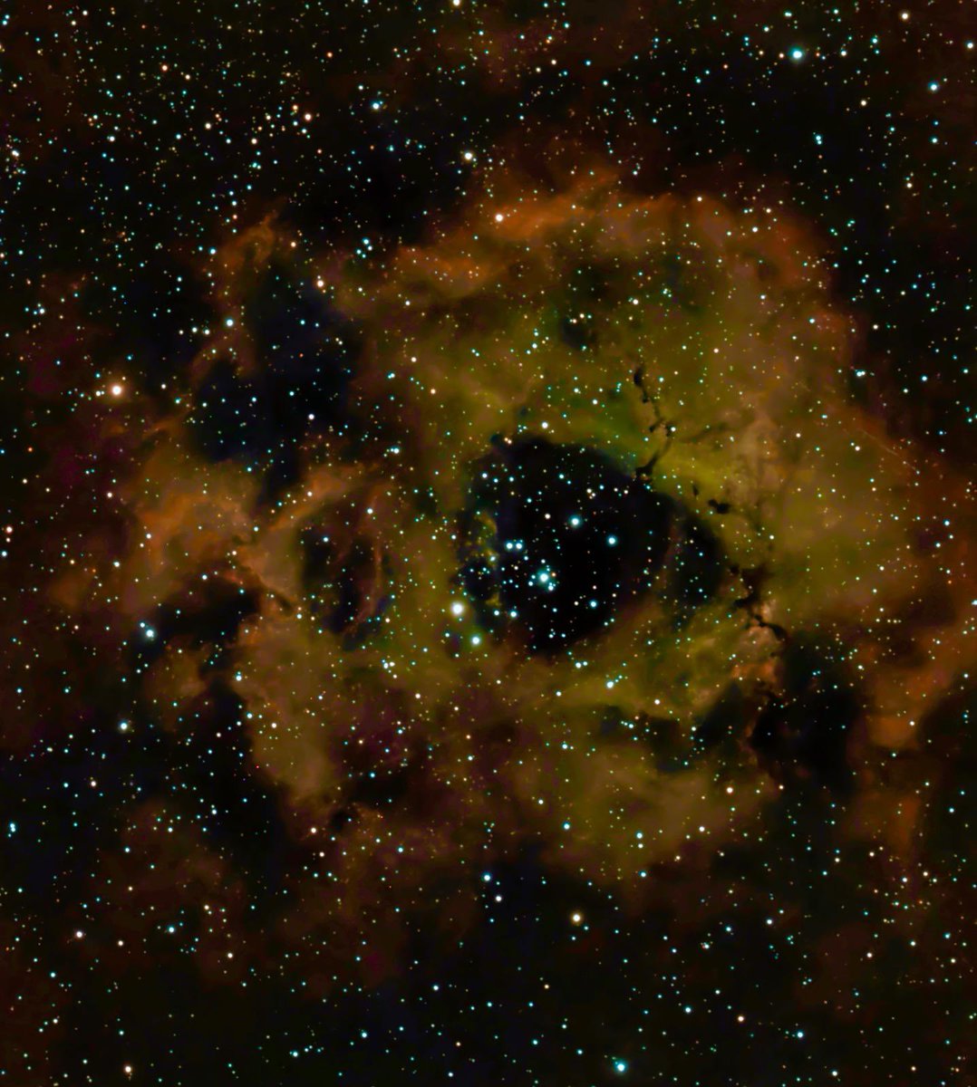 Tinkerbell_Trix's tweet photo. #astronomy trip #outdoors #Norfolk #Motorhome #moon #stars #Nebular #rosette #astrophotography https://t.co/vZ341Shhz5