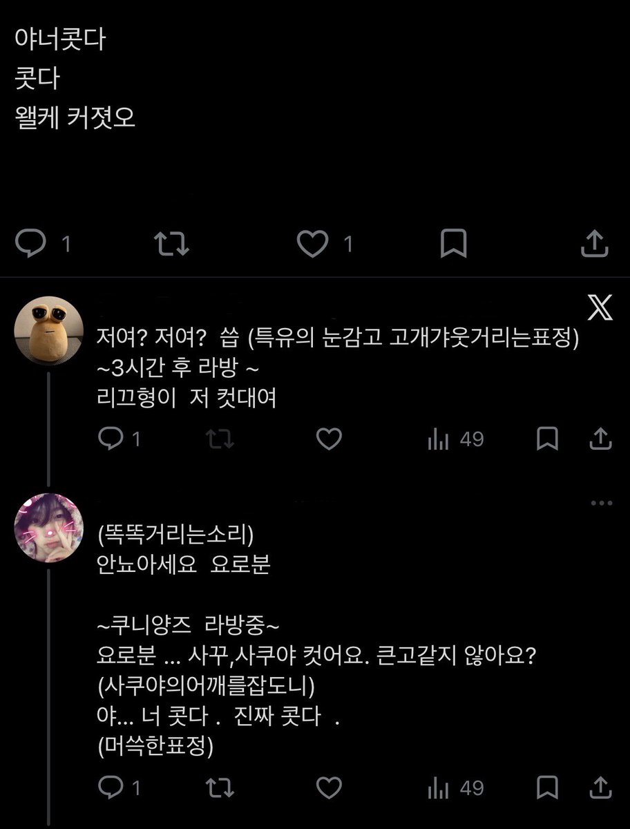 🐹 tweet media